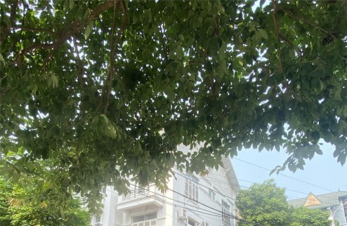 Cho thuê nhà nguyên căn villa 9 phòng khép kín tại TP Từ sơn Bắc Ninh